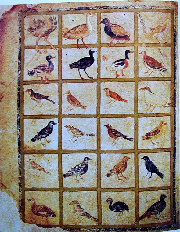 Twenty-four painted birds arranged in a grid in the Vienna Dioscurides manuscript